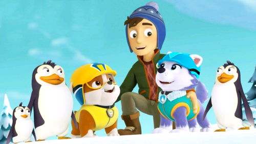 汪汪队立大功壁纸 | 汪汪驾考 快乐学车，萌趣相伴