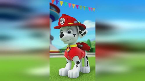 汪汪队街舞之星与驾考挑战 阿奇的双面日常