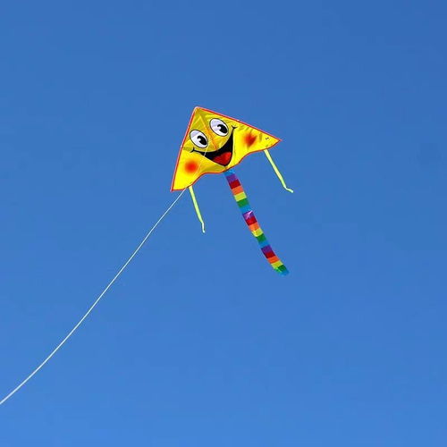 买一送一！新款儿童卡通风筝 汪汪队、佩奇、公主系列，微风易飞，工厂直卖，欢乐起飞