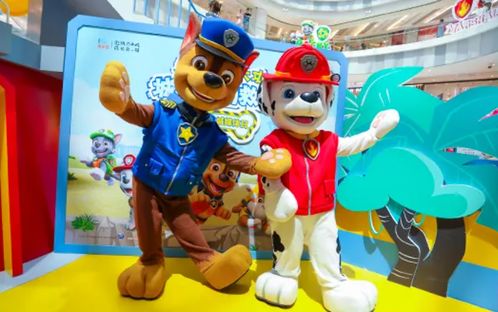 火速集结！超级明星汪汪队驾考风暴席卷孝感